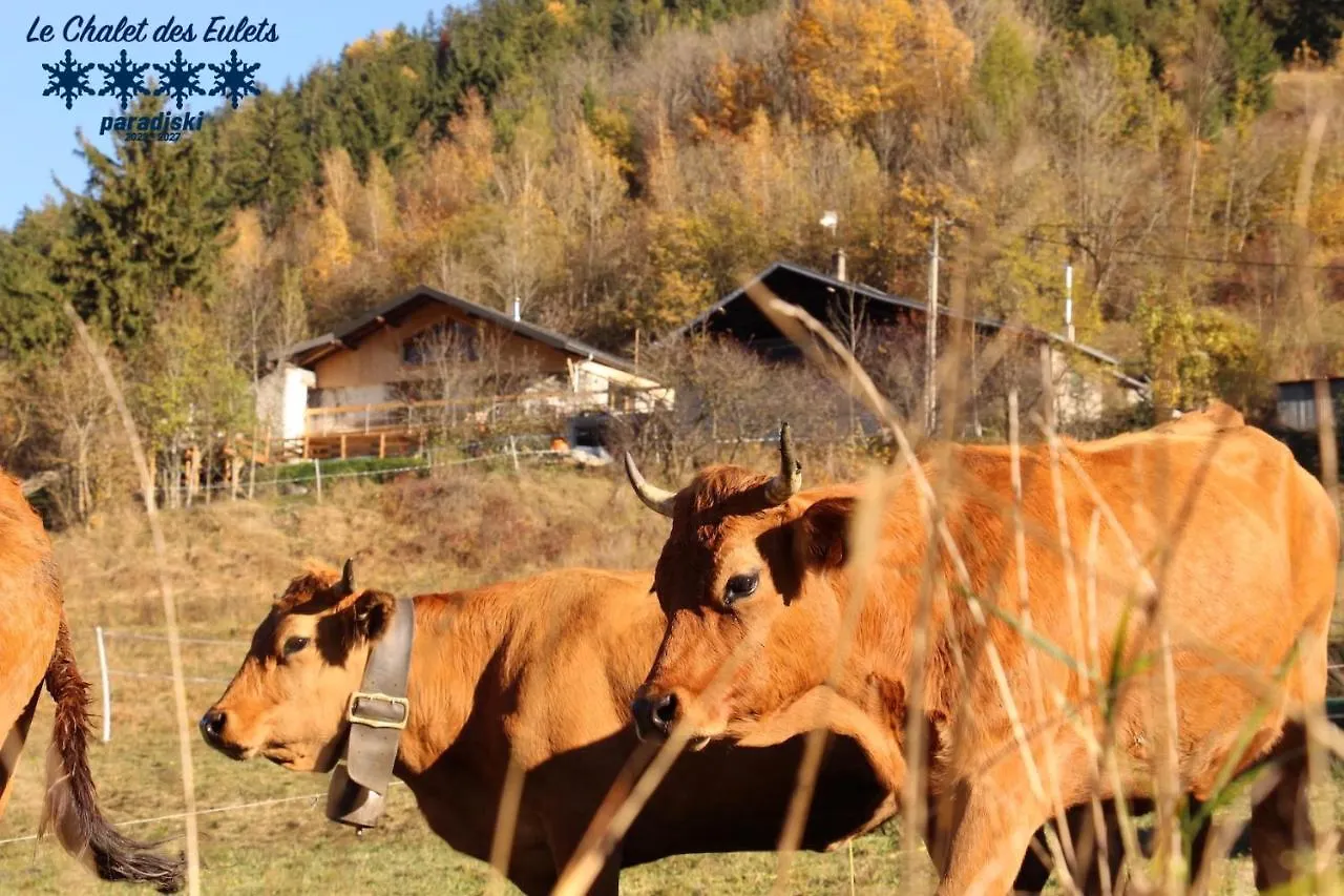 Le Chalet Des Eulets Bourg-Saint-Maurice France