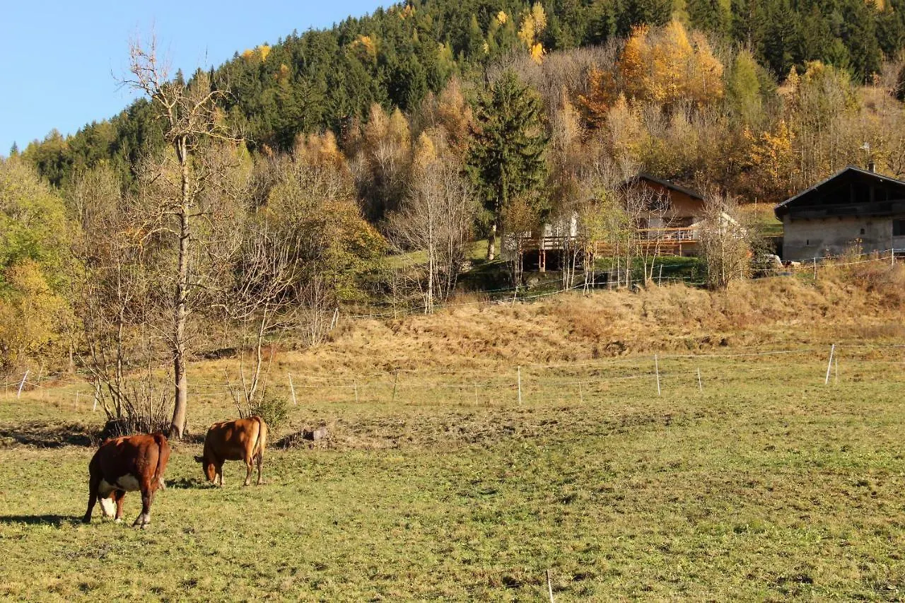 Apartment Le Chalet Des Eulets Bourg-Saint-Maurice